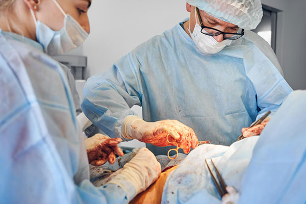 Reconstructive, Trauma & Corrective Surgeries